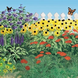 Butterfly Paradise Pre-Planned Cottage Garden Design