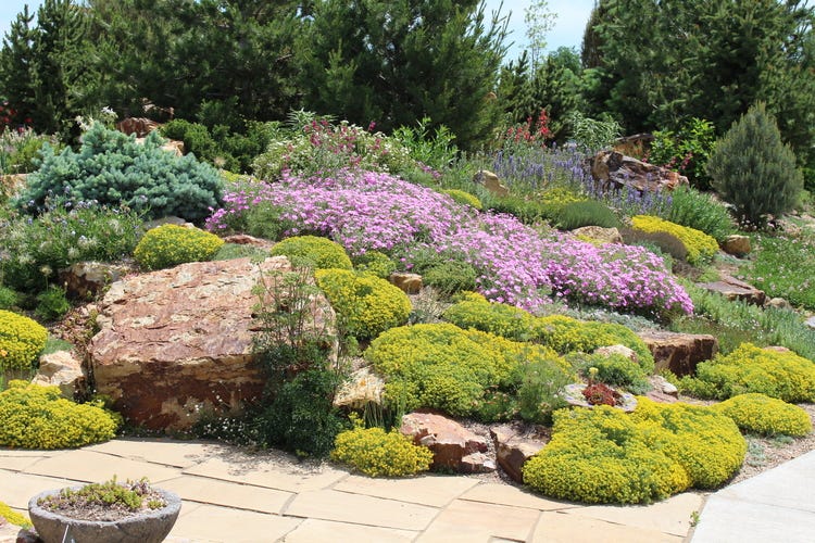 The Undaunted Garden at The Gardens On Spring Creek in Fort Collins, Colorado. Designed by Lauren Springer.