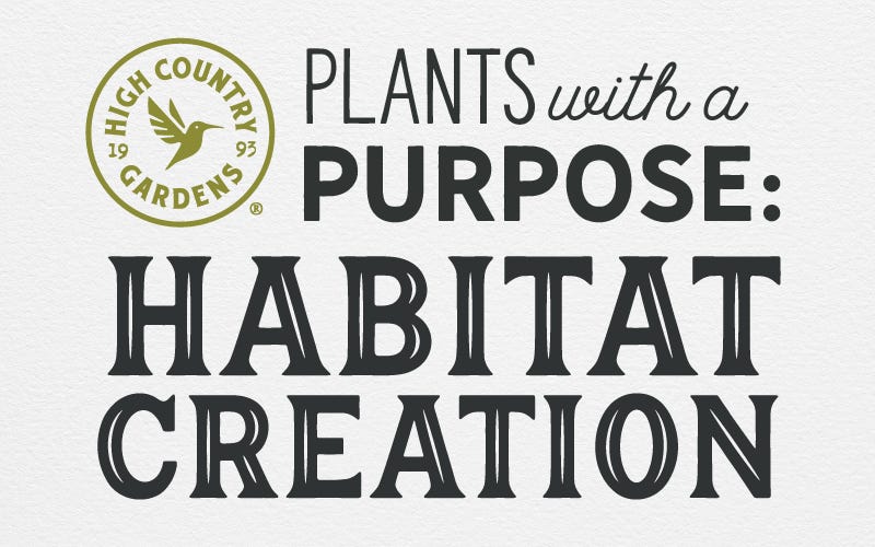 Plants With A Purpose: Habitat Creation