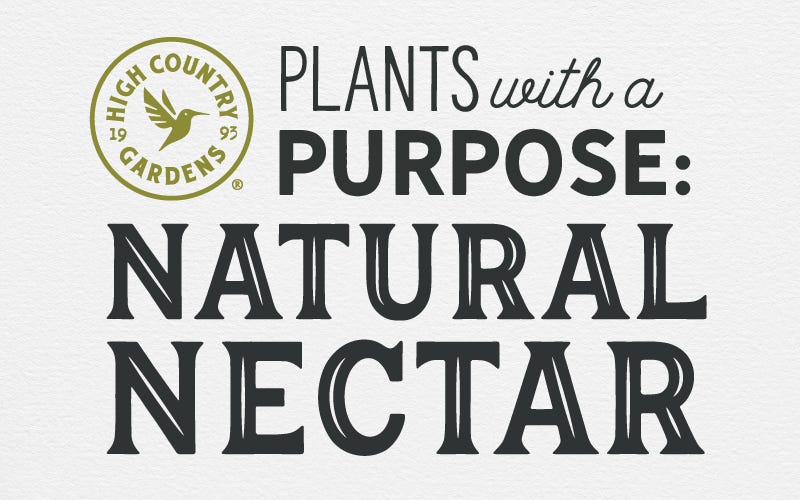Plants With A Purpose: Natural Nectar
