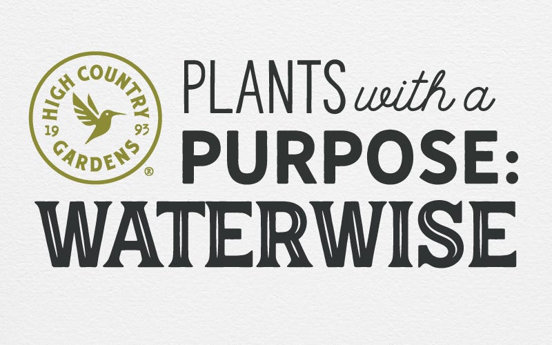Plants With  A Purpose: Waterwise