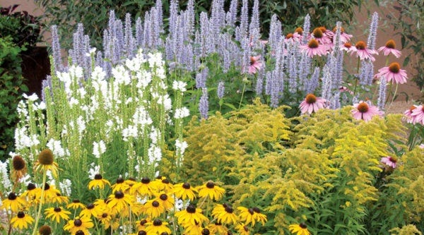 The Summer Dreams Pre-Planned Garden is another popular Summer-Blooming Pre-Planned Garden, perfect for small spaces.